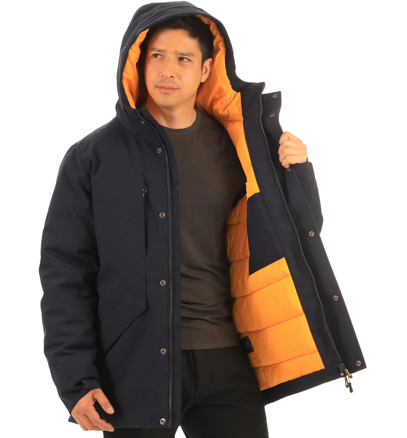 color:navy