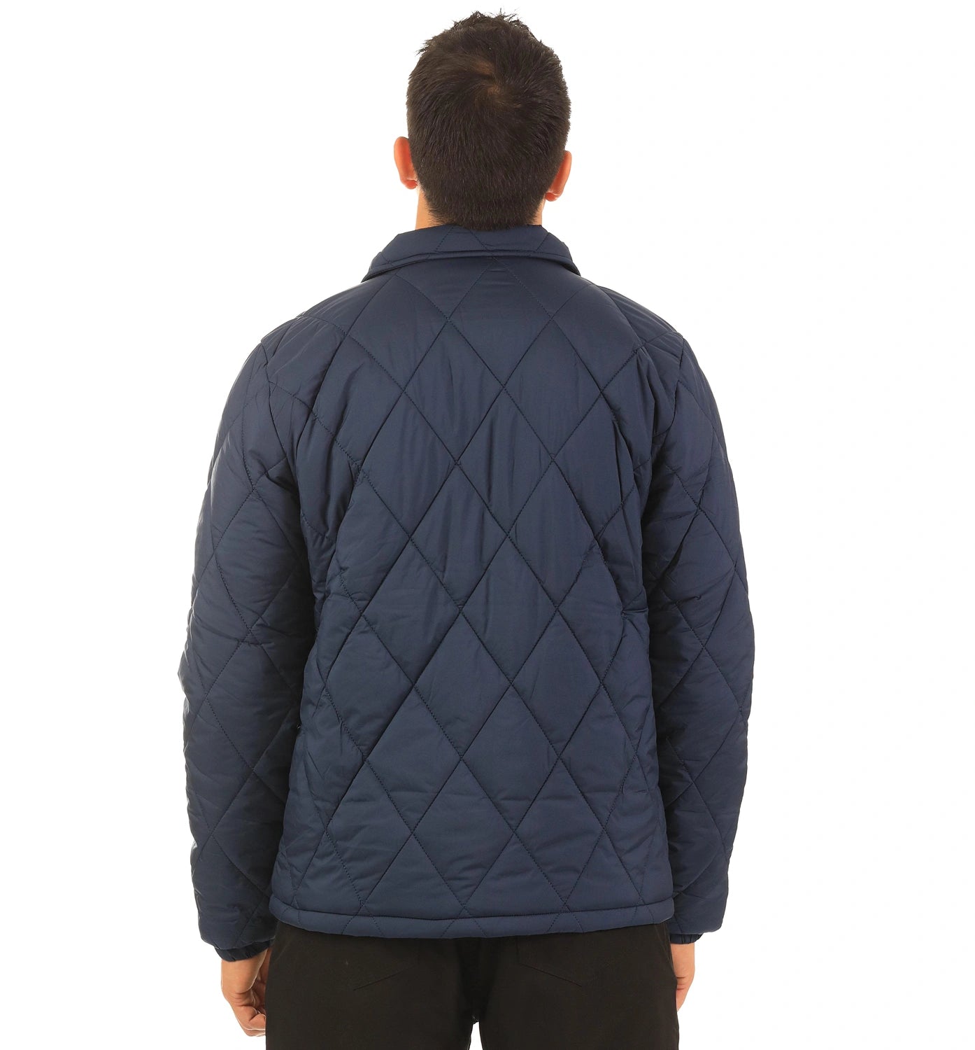 color:navy