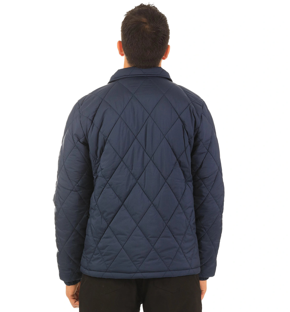 color:navy